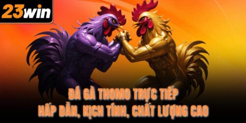 Đá Gà Thomo Trực Tiếp Hấp Dẫn, Kịch Tính, Chất Lượng Cao